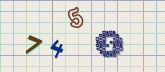 Captcha picture