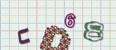 Captcha picture