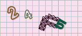 Captcha picture