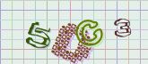 Captcha picture