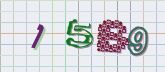Captcha picture