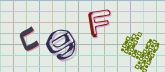 Captcha picture