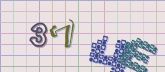 Captcha picture