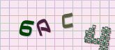 Captcha picture