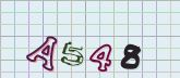 Captcha picture