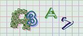 Captcha picture