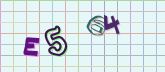 Captcha picture