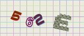 Captcha picture