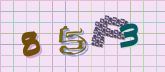 Captcha picture