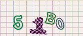 Captcha picture